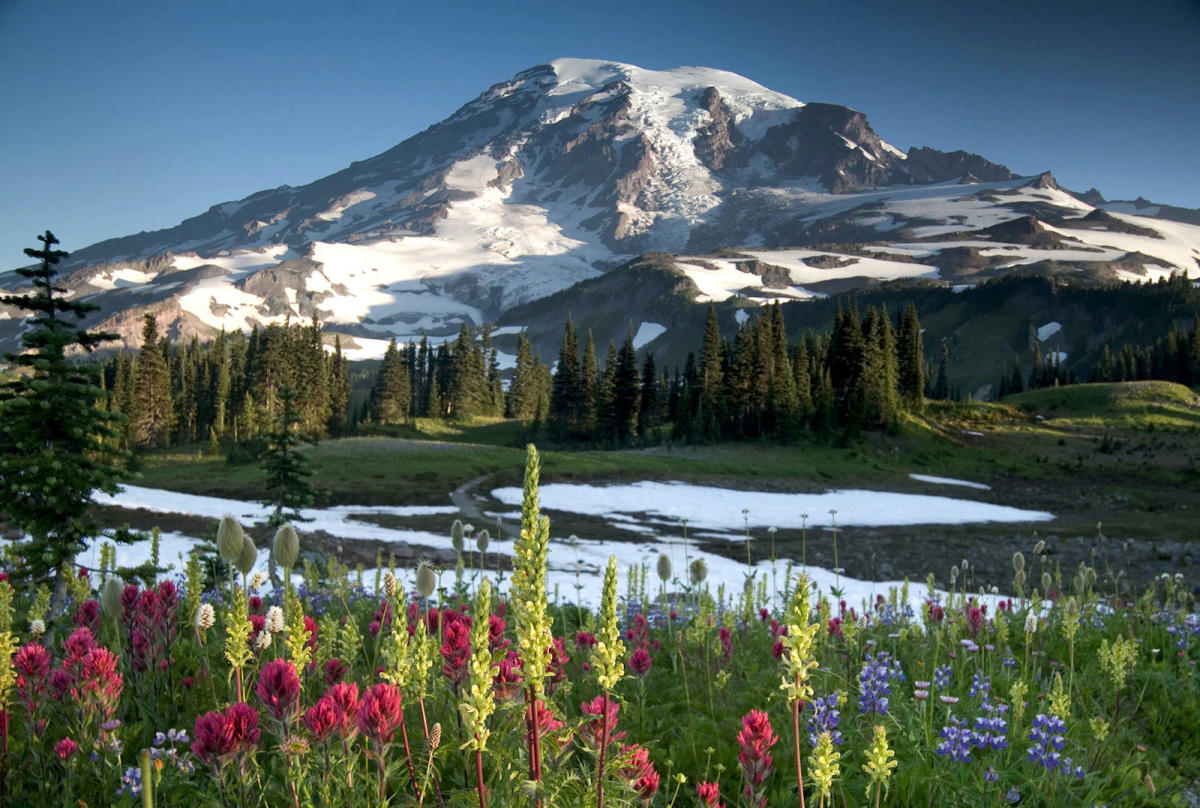 Mount Rainier mountain